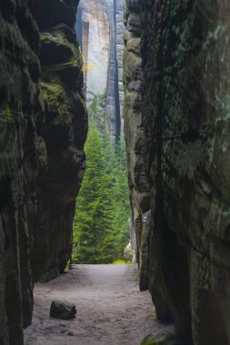 Çek Cumhuriyeti Milli Parkı Teplice rocks. Kaya şehir. 
