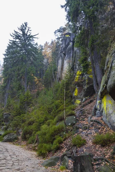 อุทยานแห่งชาติของสาธารณรัฐเช็ก หินผู้สมรู้ร่วมคิด ร็อคทาวน์ . — ภาพถ่ายสต็อก
