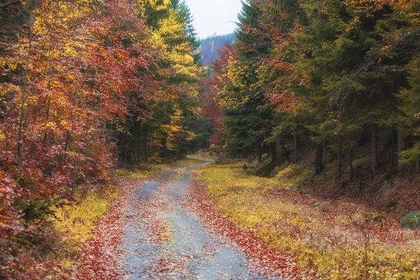 Trail in Poolse deel van bergen Jizerské Hory - herfst — Stockfoto