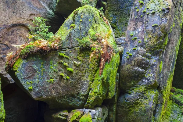 National Park of Czech Republic Teplice rocks. Rock Town. — Stock Photo, Image