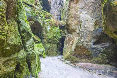 Çek Cumhuriyeti Milli Parkı Teplice rocks. Kaya şehir. 