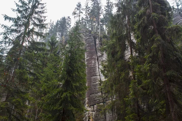 Hösten skogen vackra natursköna — Stockfoto