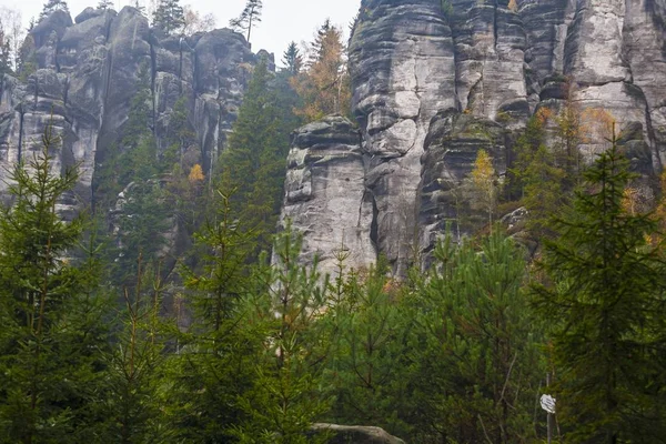 Herbst Wald schön landschaftlich — Stockfoto