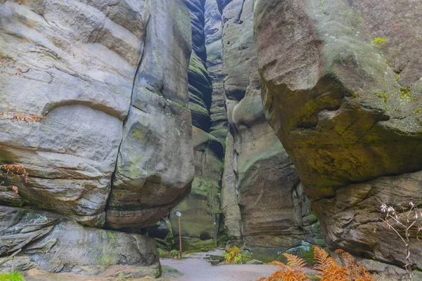 Jesień las scenic piękny — Zdjęcie stockowe