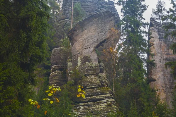 Parque Nacional de la República Checa Teplice rocas. Rock Town . —  Fotos de Stock