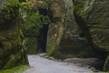 Çek Cumhuriyeti Milli Parkı Teplice rocks. Kaya şehir. 