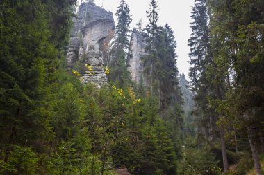 Çek Cumhuriyeti Milli Parkı Teplice rocks. Kaya şehir. 