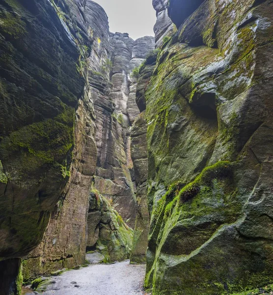 Národní Park Česká republika Teplice skály. Skalní město. — Stock fotografie