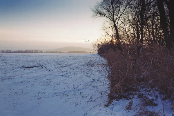 Kış harikalar diyarı güzel sahne — Stok fotoğraf