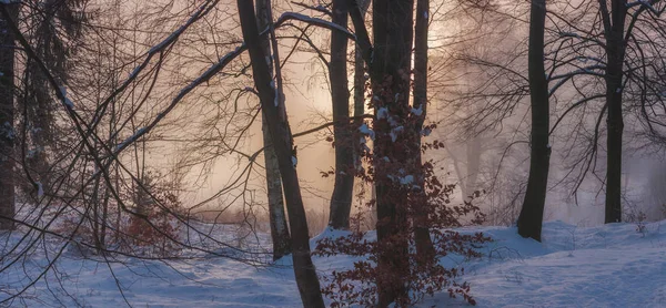 Pays des Merveilles d'hiver le matin — Photo