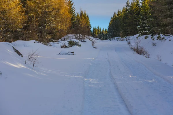 País das Maravilhas de Inverno cenário bonito — Fotografia de Stock