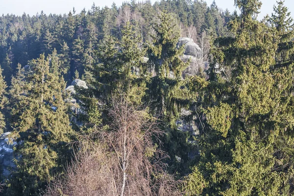 Skály v blízkosti národního parku Adrpsach a Teplice, Česká republika — Stock fotografie