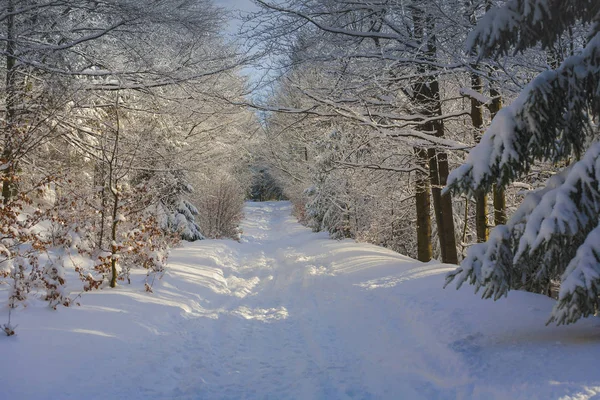 Winter Wonderland krásné scenérie — Stock fotografie