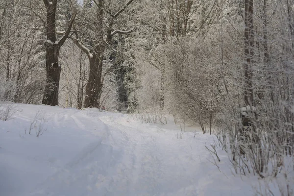 Winter Wonderland prachtige landschap — Stockfoto