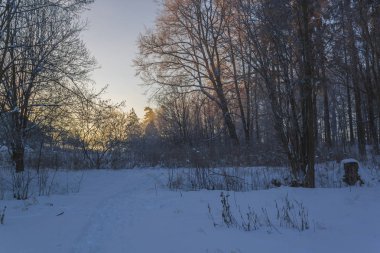 Kış harikalar diyarı güzel sahne