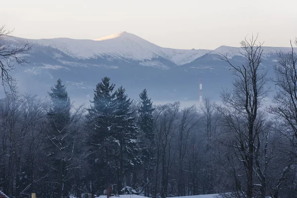 Winter Wonderland por la mañana —  Fotos de Stock