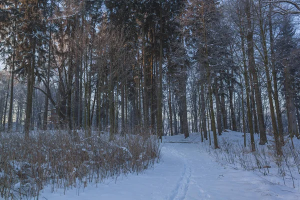 Красиві пейзажі зимових чудес — стокове фото