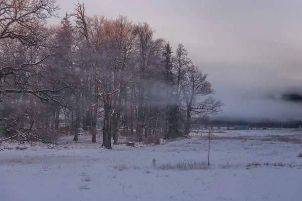 Sabahları kış harikalar diyarı — Stok fotoğraf