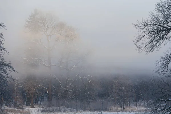 País das Maravilhas de Inverno pela manhã — Fotografia de Stock