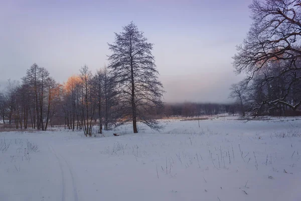 Зимняя страна чудес красивые пейзажи — стоковое фото