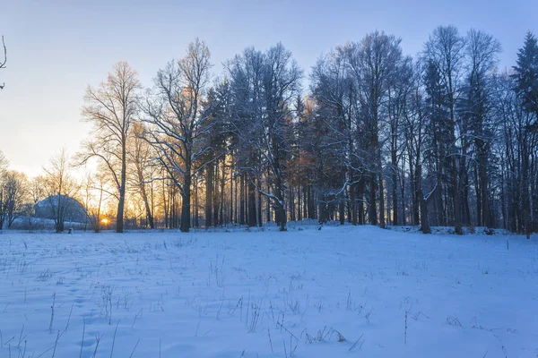 Kış harikalar diyarı güzel sahne — Stok fotoğraf