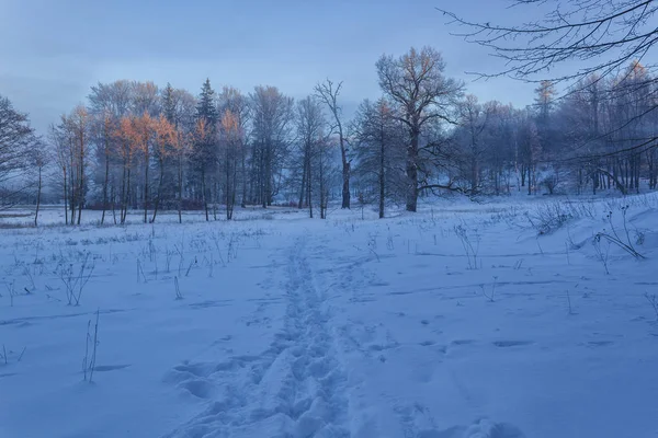 Invierno país de las maravillas hermoso paisaje —  Fotos de Stock