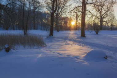 Sabah güneşin doğuşunu hafif kış Harikalar Diyarı