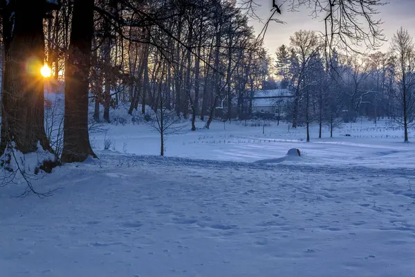 겨울 원더랜드 아름 다운 풍경 — 스톡 사진