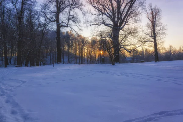 Sabah güneşin doğuşunu hafif kış Harikalar Diyarı