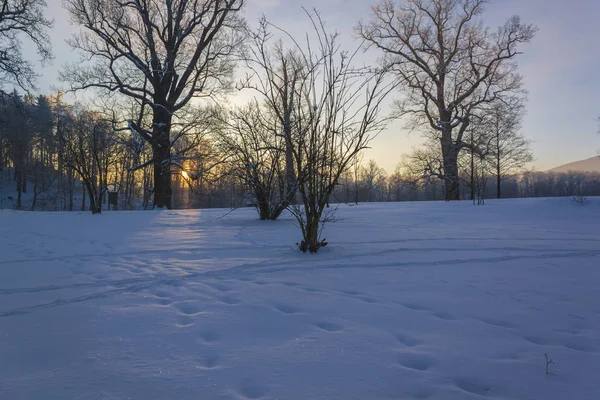 Téli csodaország a reggeli fényben a napkelte — Stock Fotó