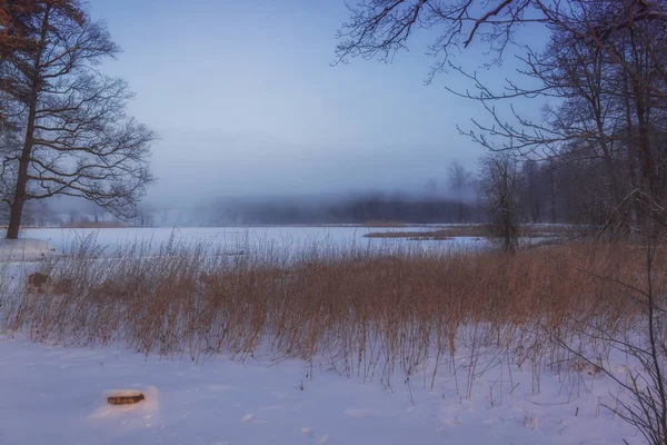 Winterwunderland im Morgenlicht des Sonnenaufgangs — Stockfoto
