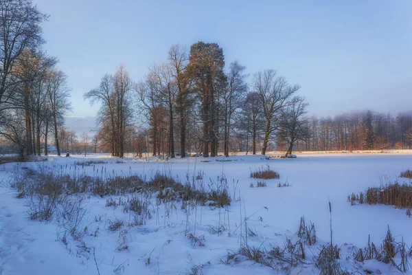 Winterwunderland im Morgenlicht des Sonnenaufgangs — Stockfoto