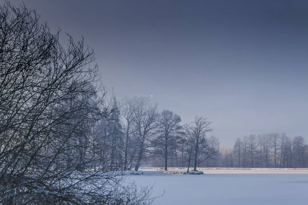 Winterwunderland im Morgenlicht des Sonnenaufgangs — Stockfoto