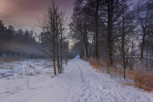 Winterwunderland im Morgenlicht des Sonnenaufgangs — Stockfoto