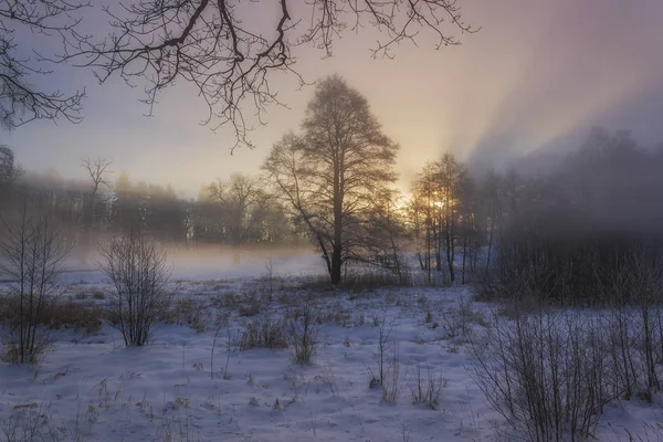 Χειμερινή χώρα των θαυμάτων στο πρωινό φως της Ανατολής του ηλίου — Φωτογραφία Αρχείου