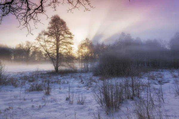 Winterwunderland im Morgenlicht des Sonnenaufgangs — Stockfoto