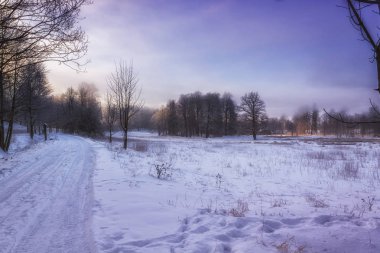 Sabah güneşin doğuşunu hafif kış Harikalar Diyarı