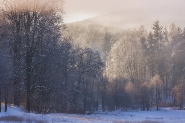 País das Maravilhas de Inverno pela manhã — Fotografia de Stock