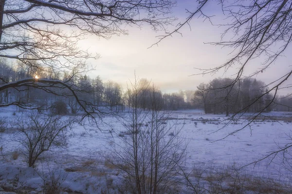 Winterwunderland im Morgenlicht des Sonnenaufgangs — Stockfoto