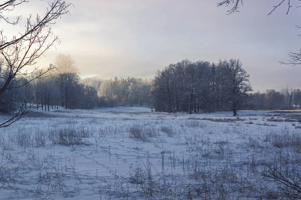 Sabah güneşin doğuşunu hafif kış Harikalar Diyarı — Stok fotoğraf