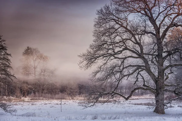Winterwunderland am Morgen — Stockfoto