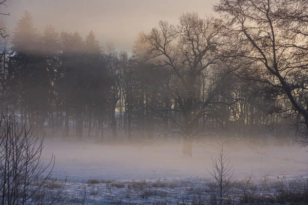 País das Maravilhas de Inverno pela manhã — Fotografia de Stock