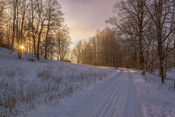아침 일출의 빛에서 겨울 원더랜드 — 스톡 사진