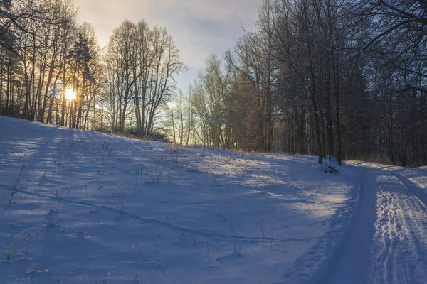 País das Maravilhas de Inverno na luz da manhã do nascer do sol — Fotografia de Stock
