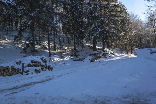 Inverno estrada perigosa — Fotografia de Stock