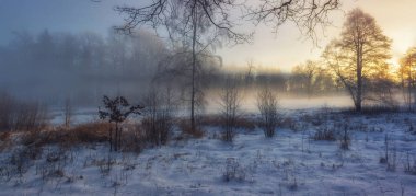 Sabah güneşin doğuşunu hafif kış Harikalar Diyarı