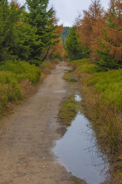 Sentiero nella parte polacca dei monti Jizera - autunno — Foto Stock