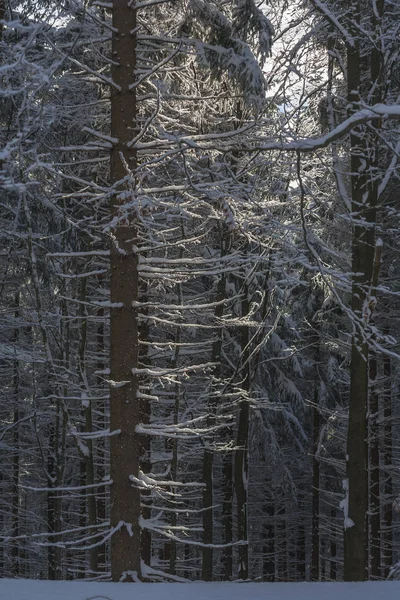 Winter Wonderland vintern i Polen — Stockfoto