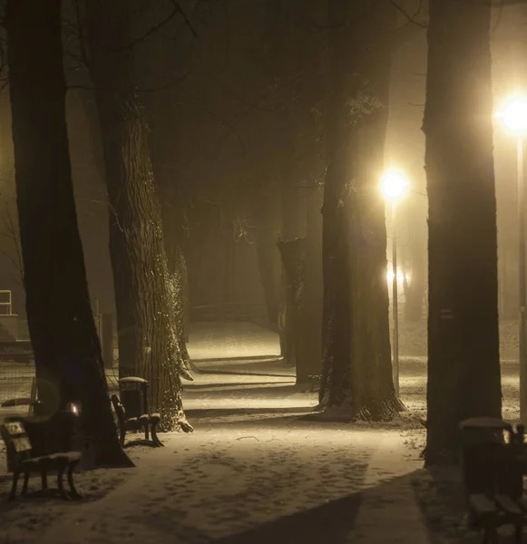 Paisaje nocturno en ciudad de invierno Fotos de stock libres de derechos