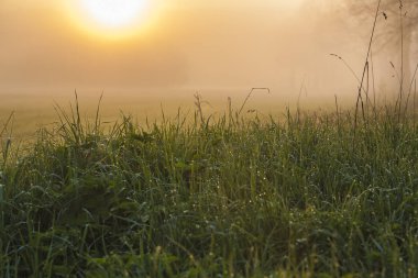 güzel sabah sisleri